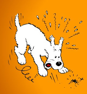 Snowy, The Unusual Fox Terier | Adventures of Tintin | Comics and Movie ...