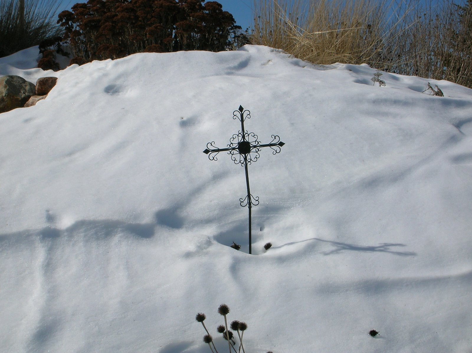 [DSCN2048.JPG]