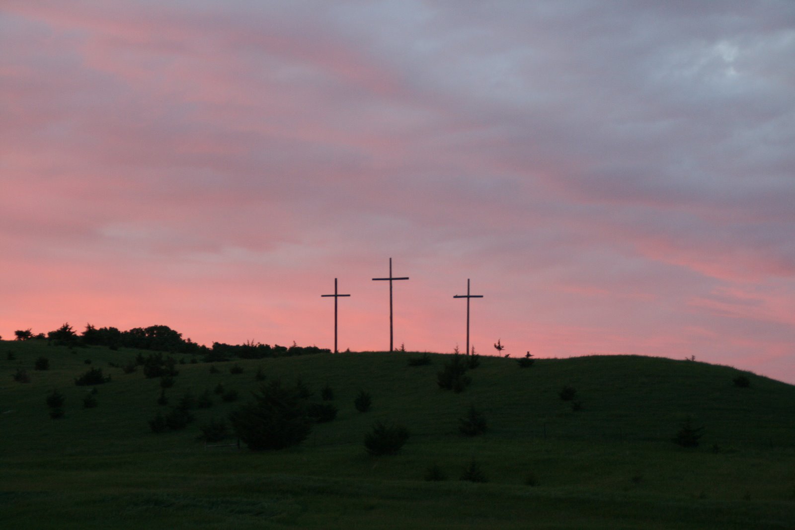 [2007-5-24_018.jpg]