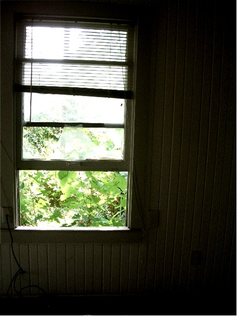 [broken+window.JPG]