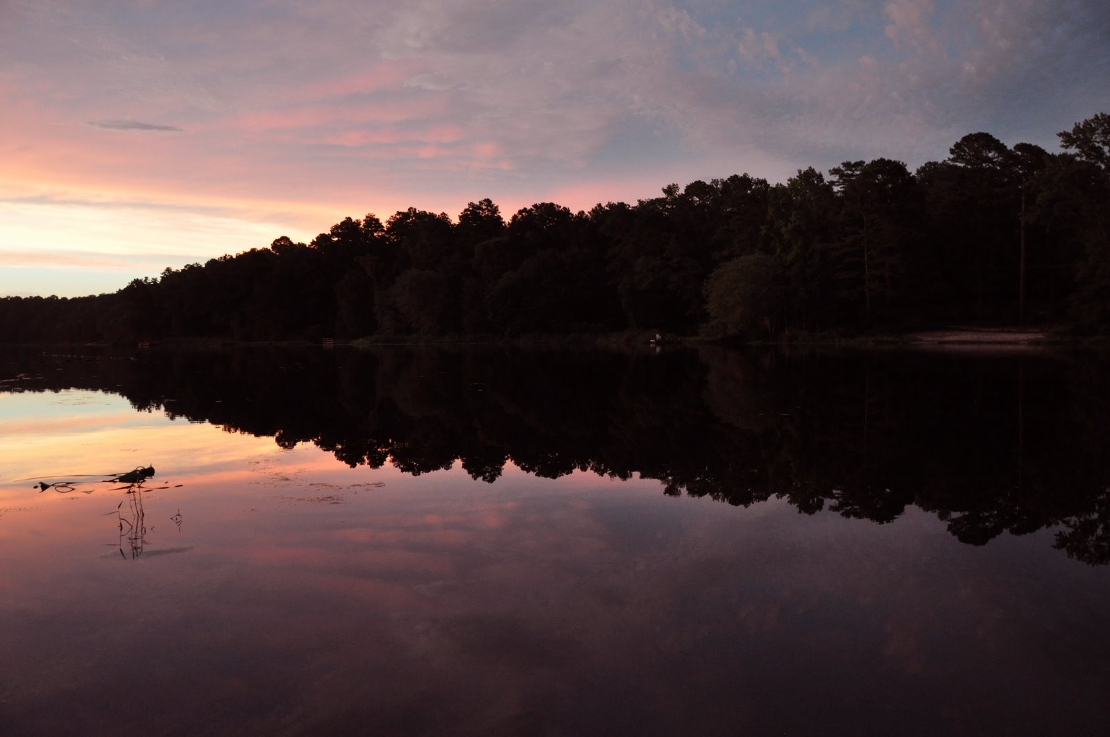 [absolute+stillness.JPG]