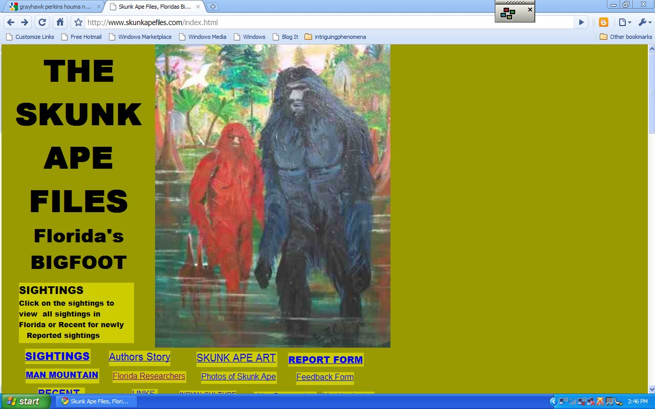 Sasquatch Evidence: The Skunk Ape Files - Florida's Bigfoot