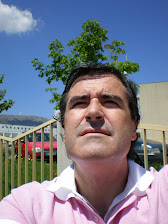 Dr.Meireles-Brandão.CEO