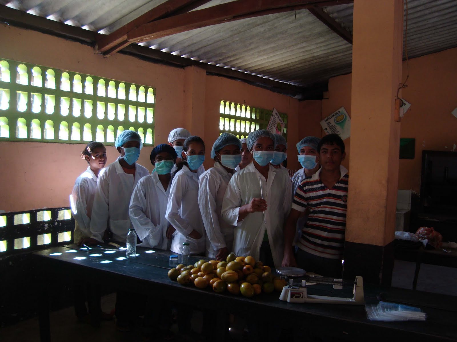 Conservacion del mango en tiempo de cosecha Proyecto Agro Mango