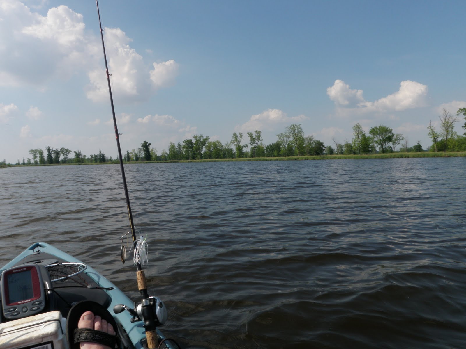 Fish Missouri Ted Shanks CA, Horseshoe Lake,Pike County, MO. May 29th