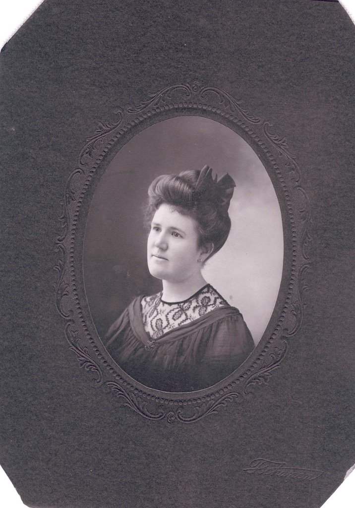 Climbing My Family Tree The McClure Family Ohio Branch