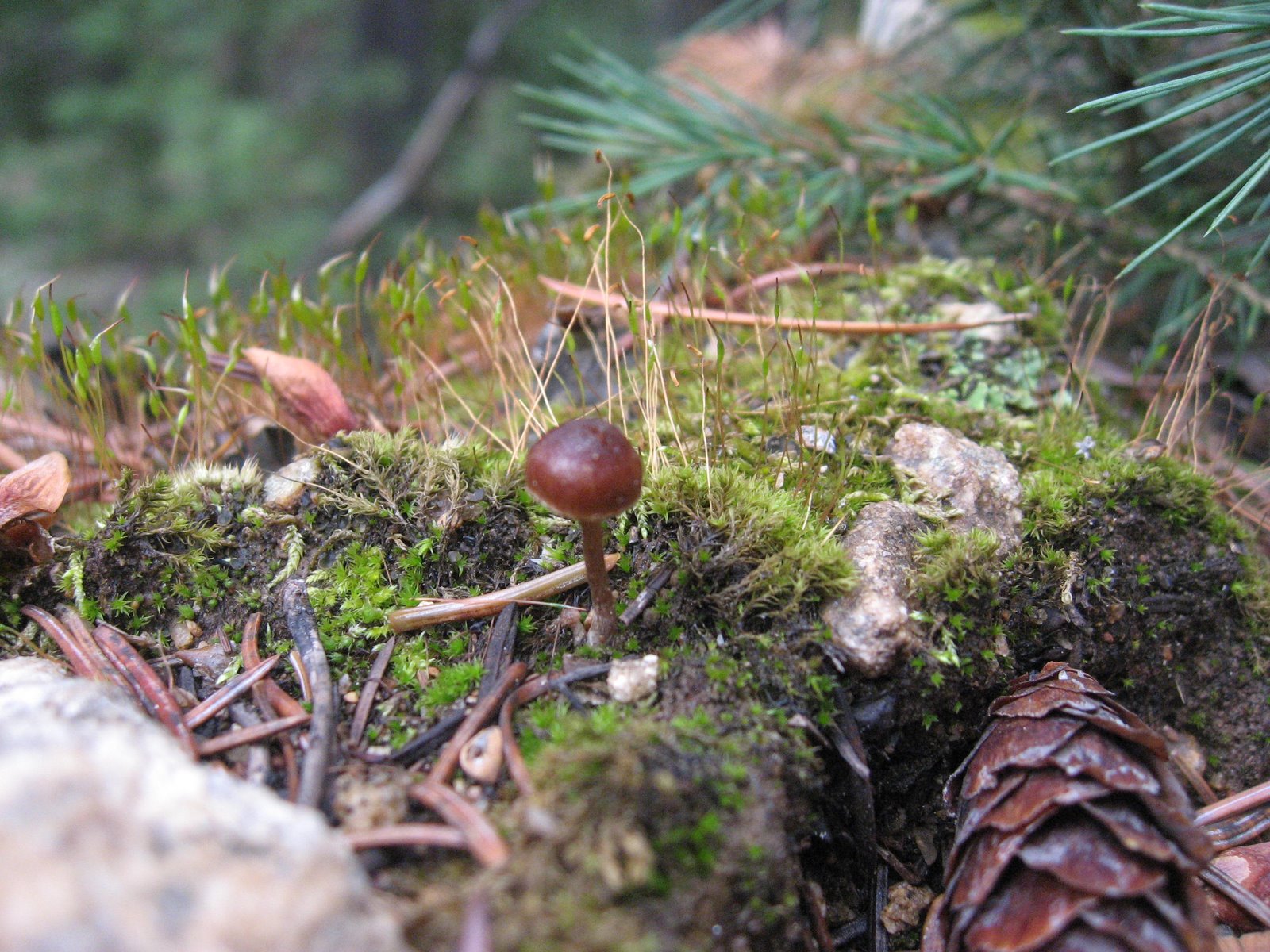 [IMG_7005.JPG]