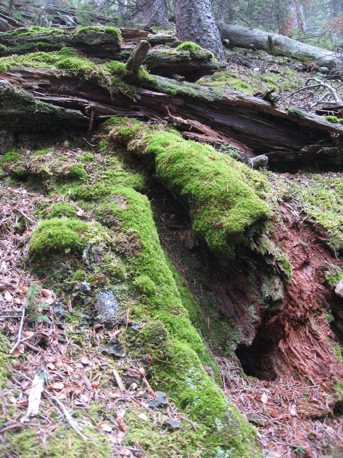 [IMG_7000.JPG]