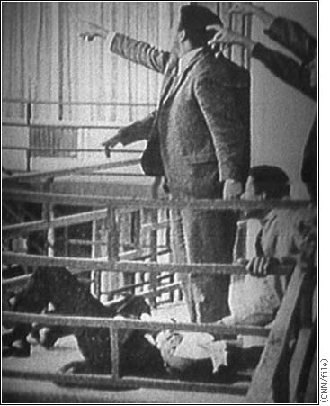 [shooting.site.lrg.jpg]