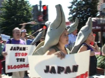 [DOLPHIN+PROTEST.jpg]