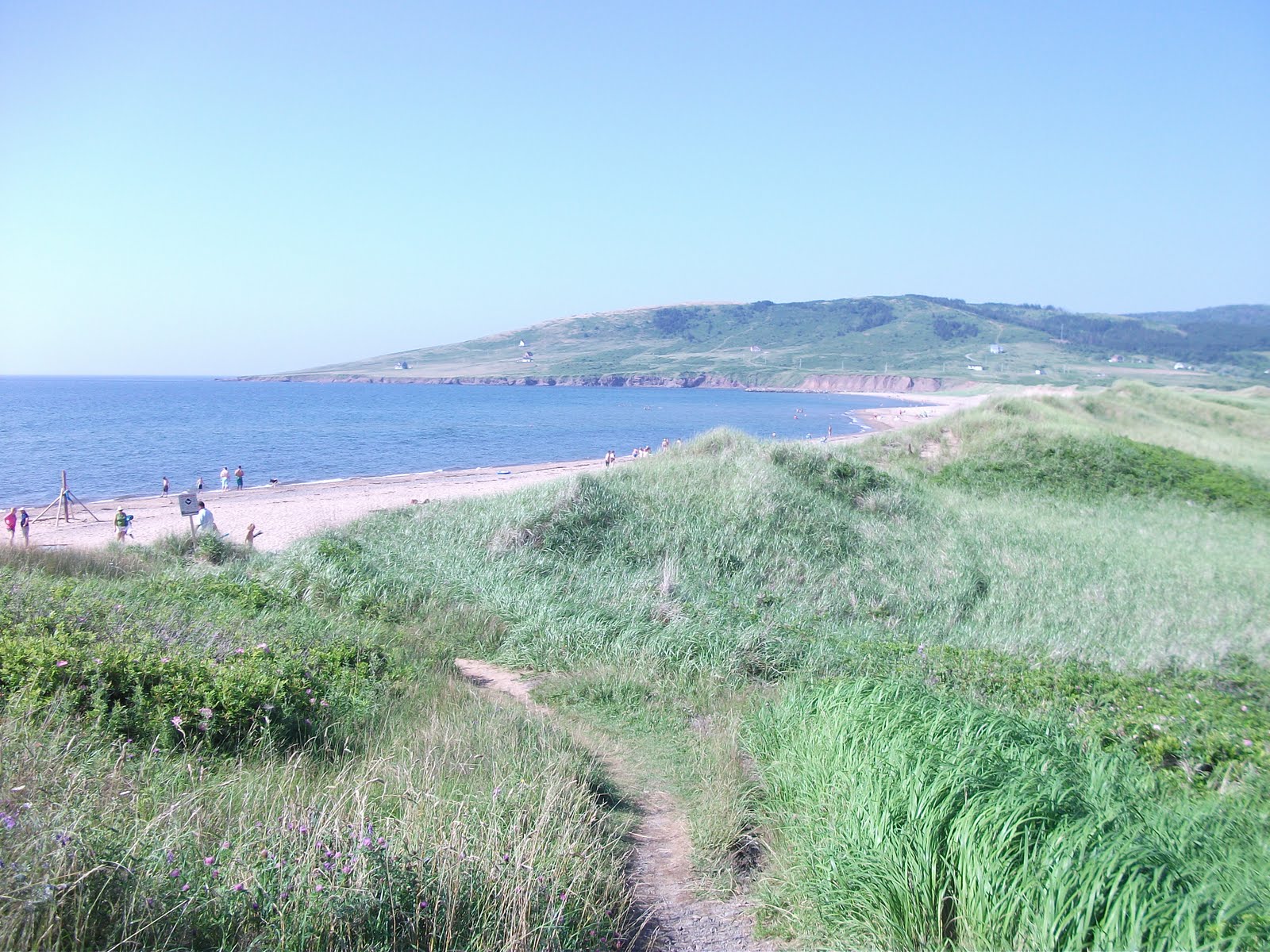 Weekend in Mabou, Cape Breton Shelley