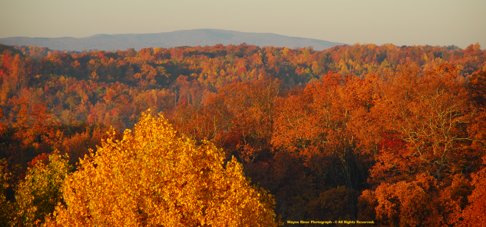 The High Knob Landform High Knob Landform Glorious Color Climax