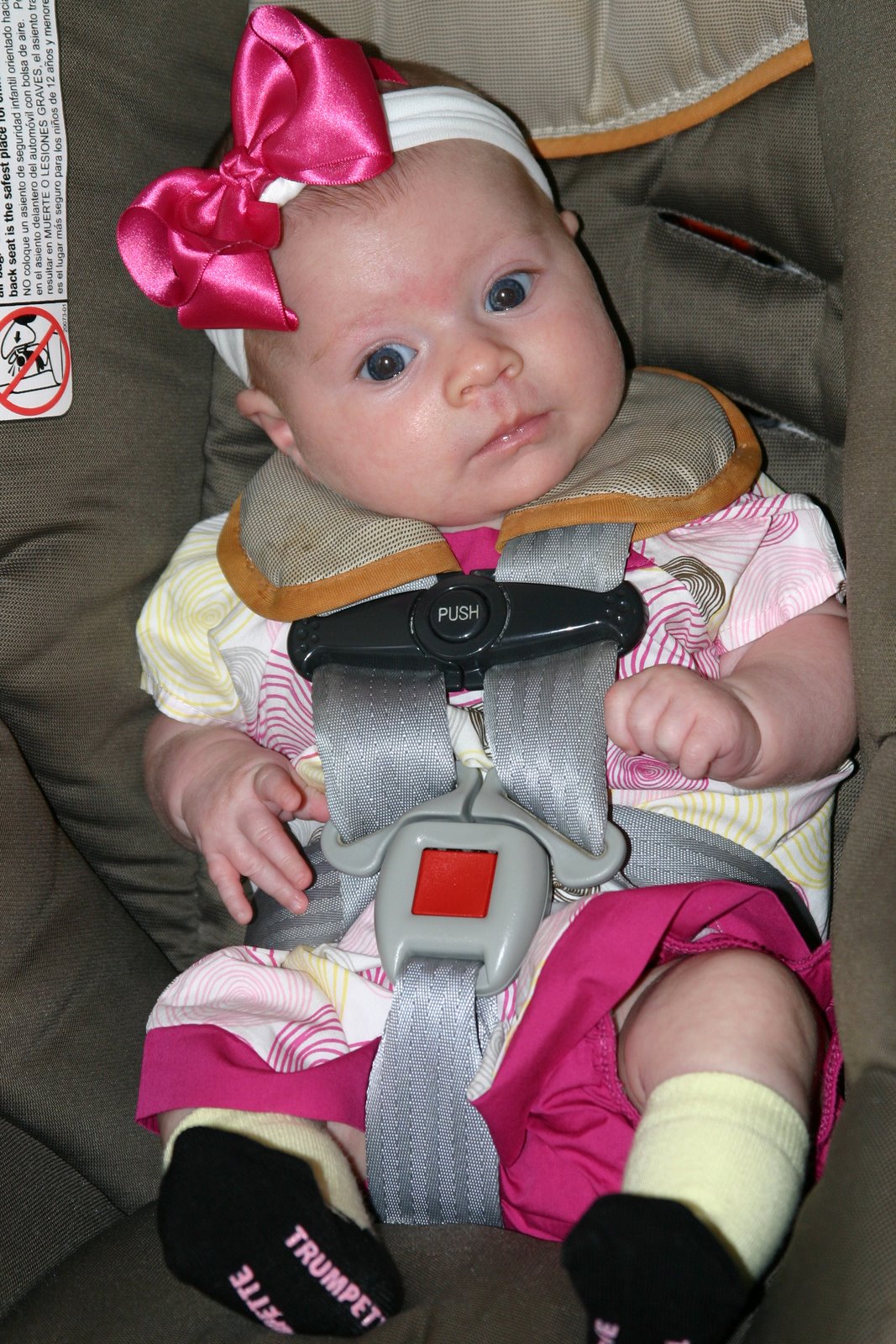 [IMG_0774_edited-1.jpg]