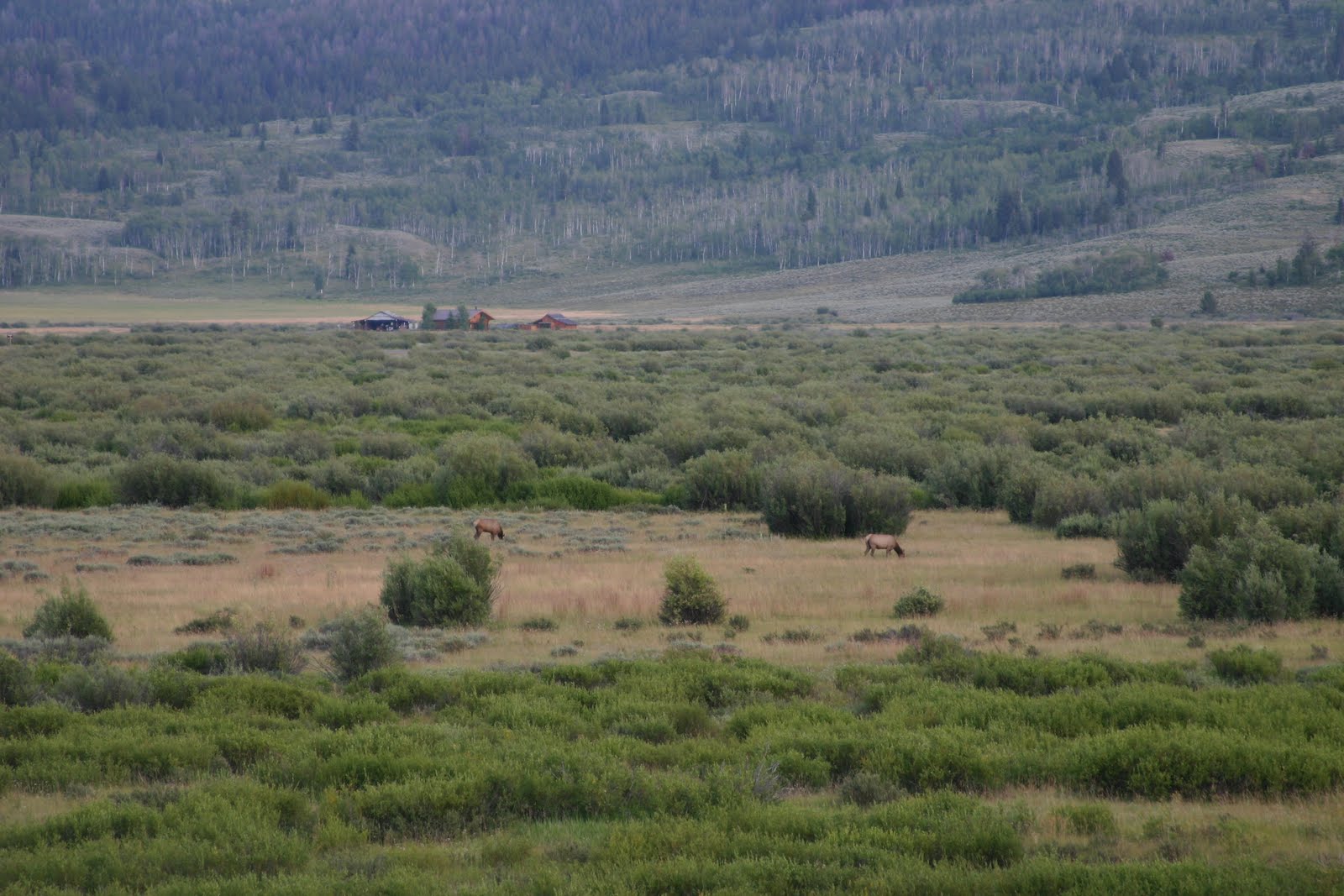 [IMG_3379.JPG]