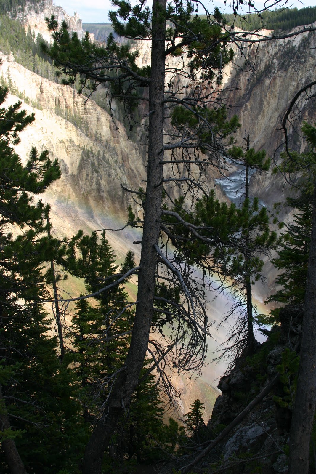 [IMG_3359.JPG]