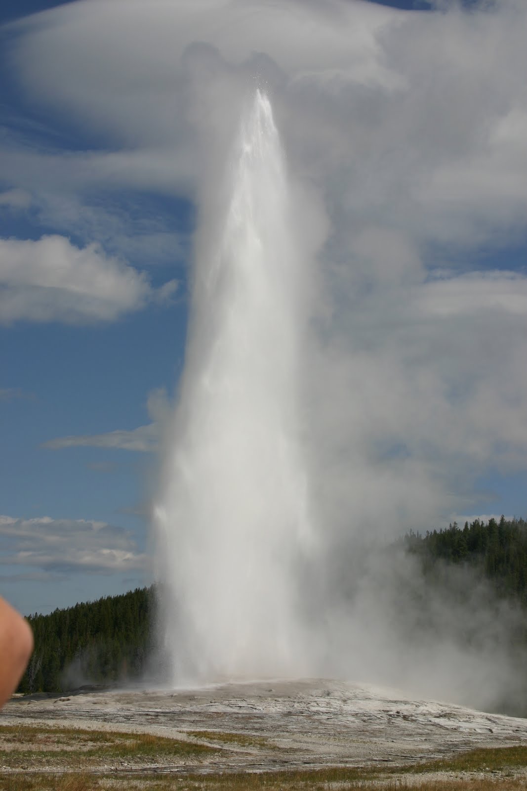 [IMG_3323.jpg]