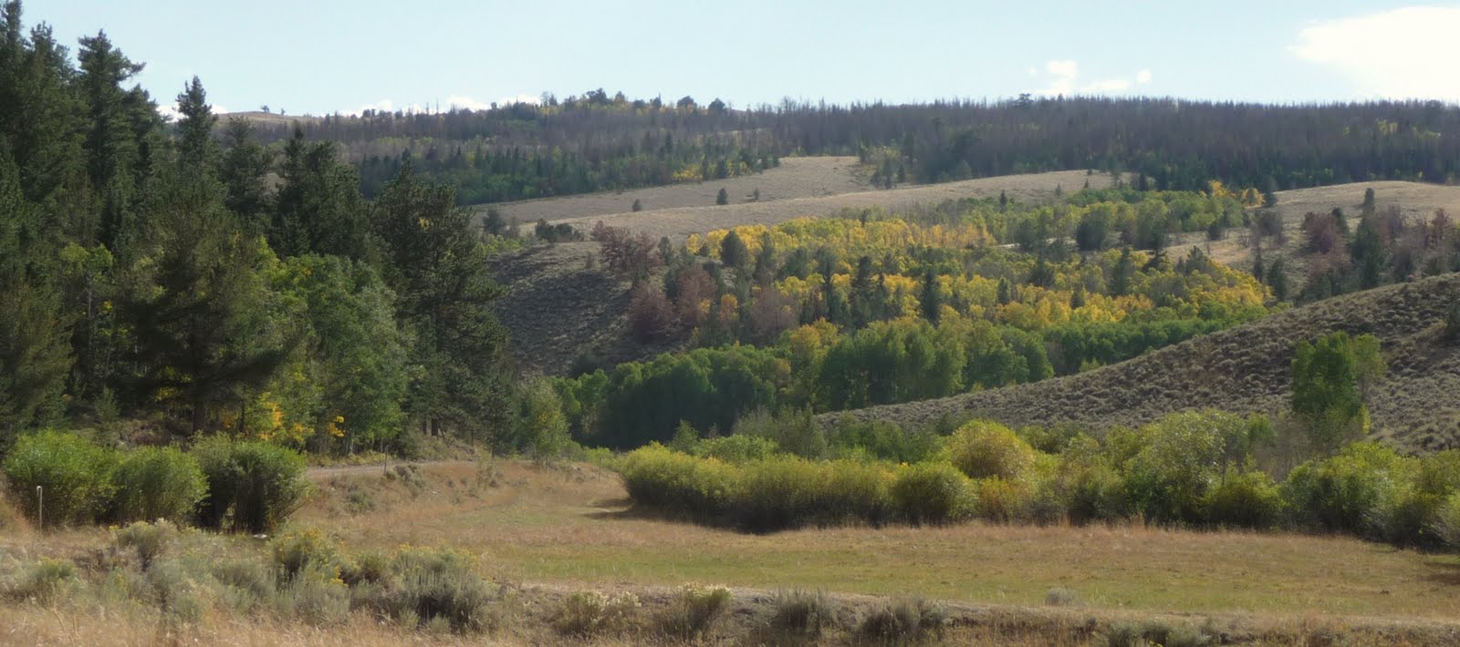 Beyond Jelm Mountain FOX CREEK ROAD in FALL