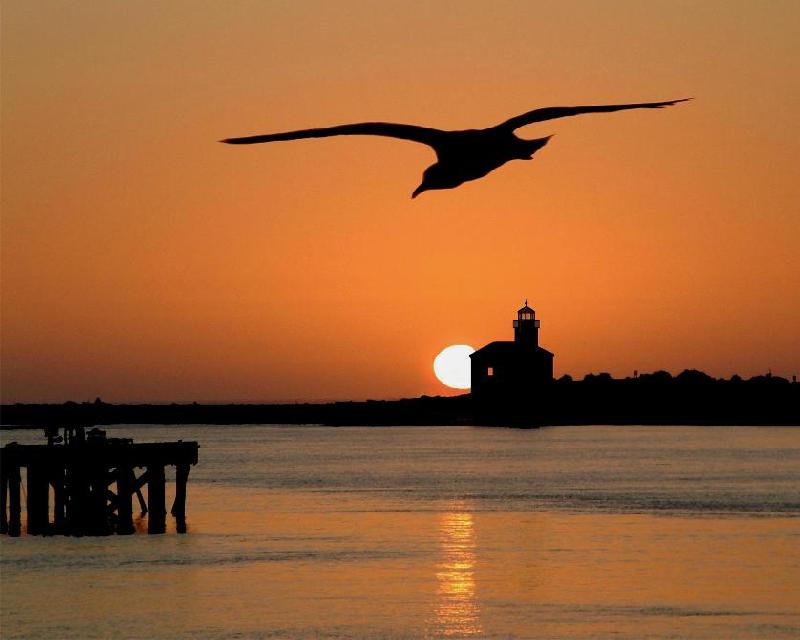 [lighthouse_sunset_gull.jpg]