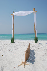 Emerald Coast Beach Weddings