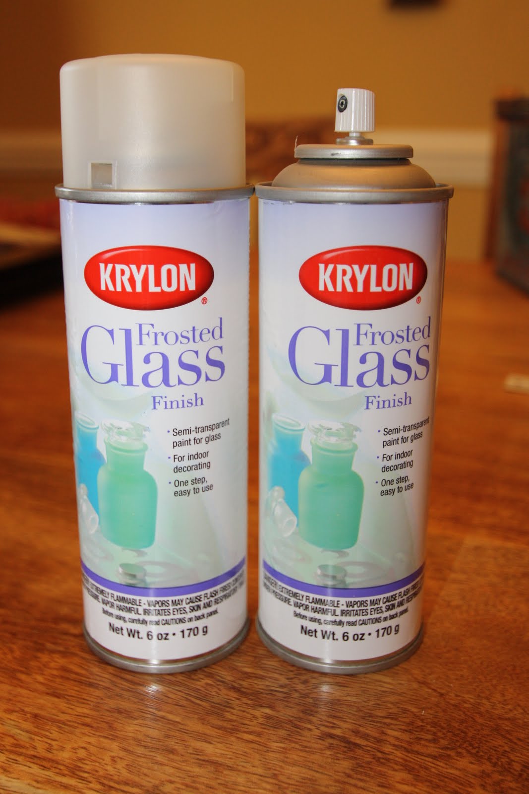 Cool Spray Paint Ideas That Will Save You A Ton Of Money Frosted Spray