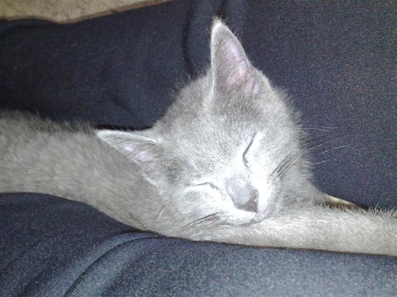 [asleep+(Medium).jpg]