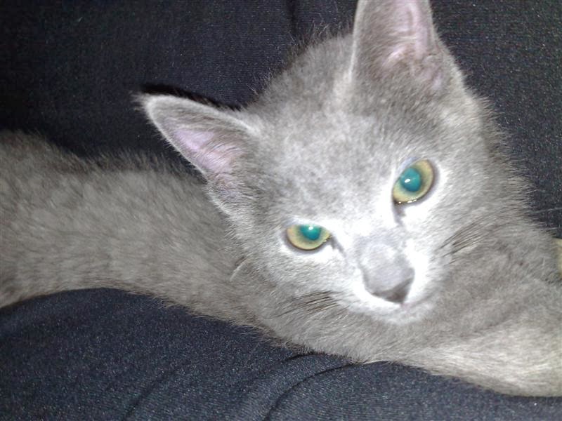 [awake+(Medium).jpg]