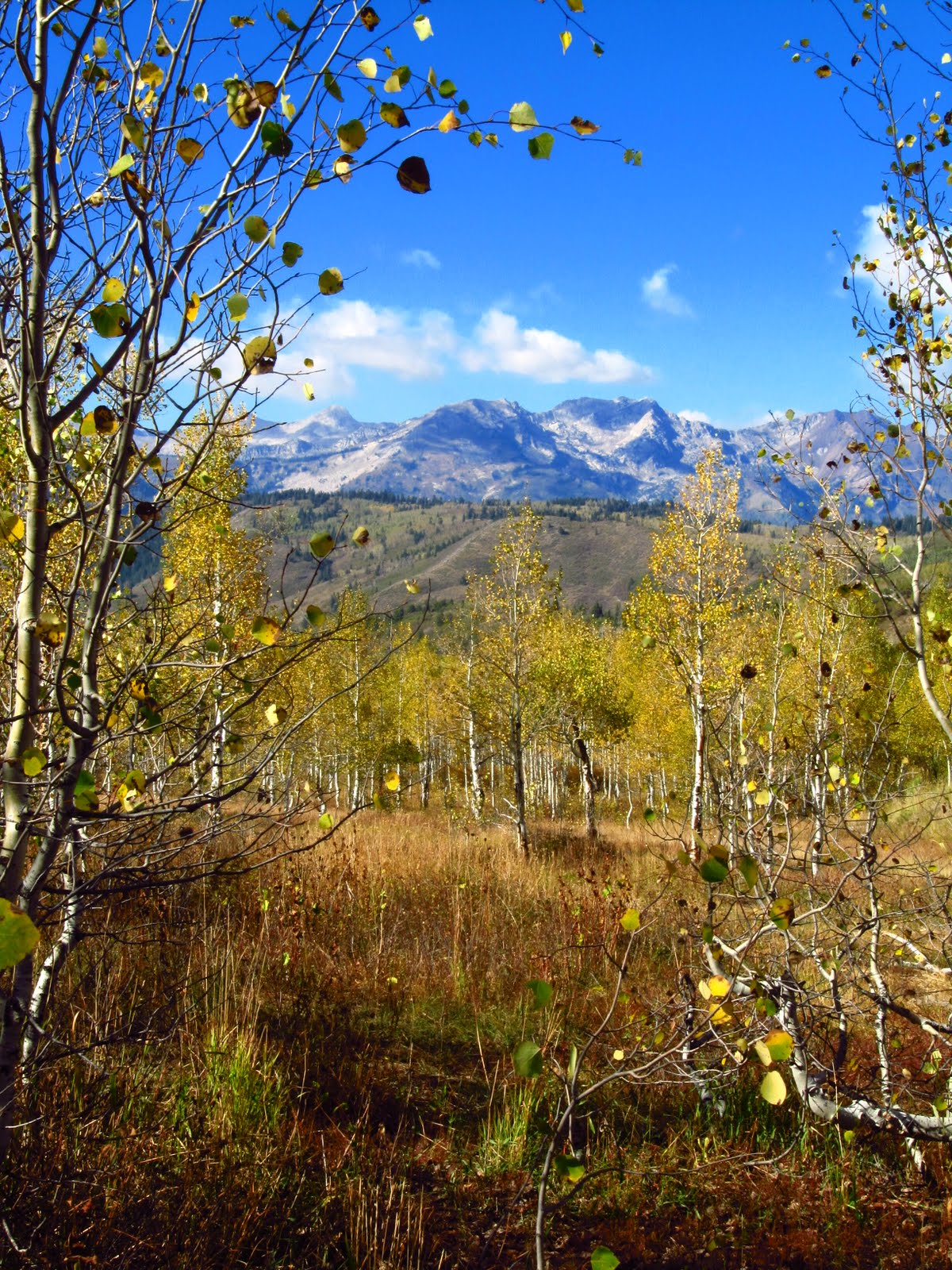 My Photography Alpine Loop, American Fork Canyon, Utah
