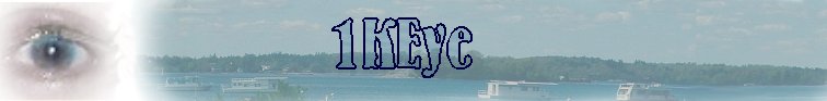 1K Eye