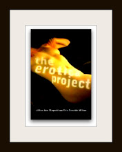 The Erotica Project (w/erin cressida wilson)