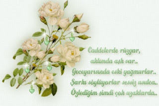 caddelerde%2Bruzgar.jpg