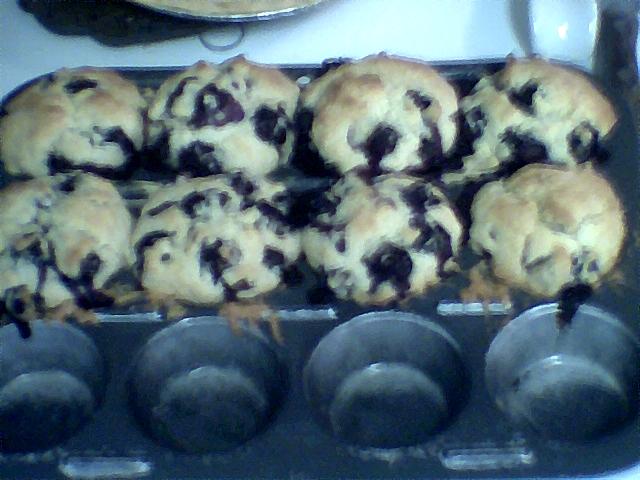 [blueberry+muffins007.jpg]