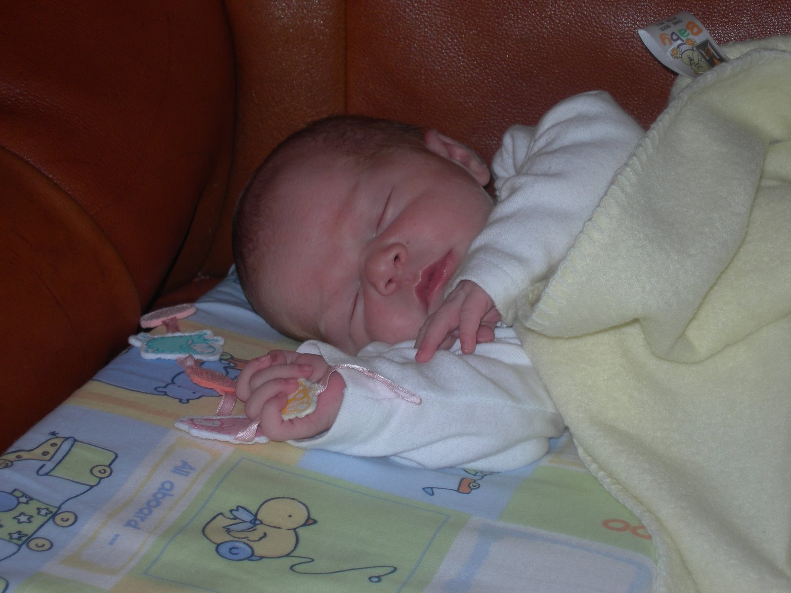 [DSCN2117.JPG]