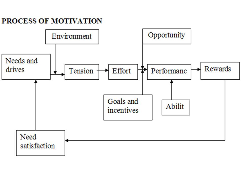 Consumer Behaviour: Motivation