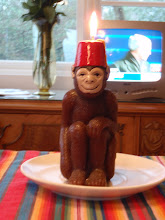 Monkey see