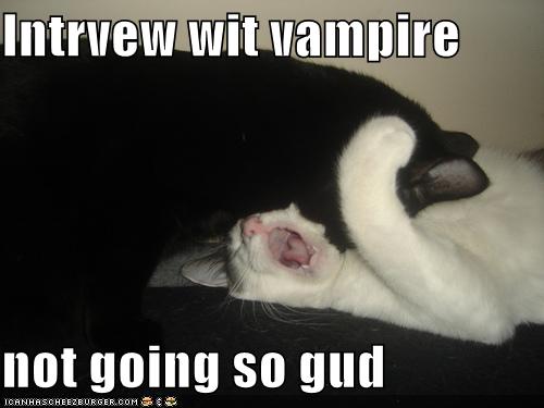 [funny-pictures-interview-with-vampire-cats.jpg]