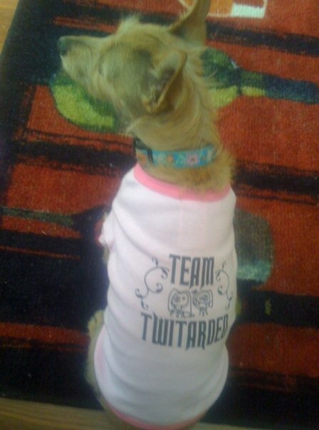 [Twitarded+Gigi1.jpg]