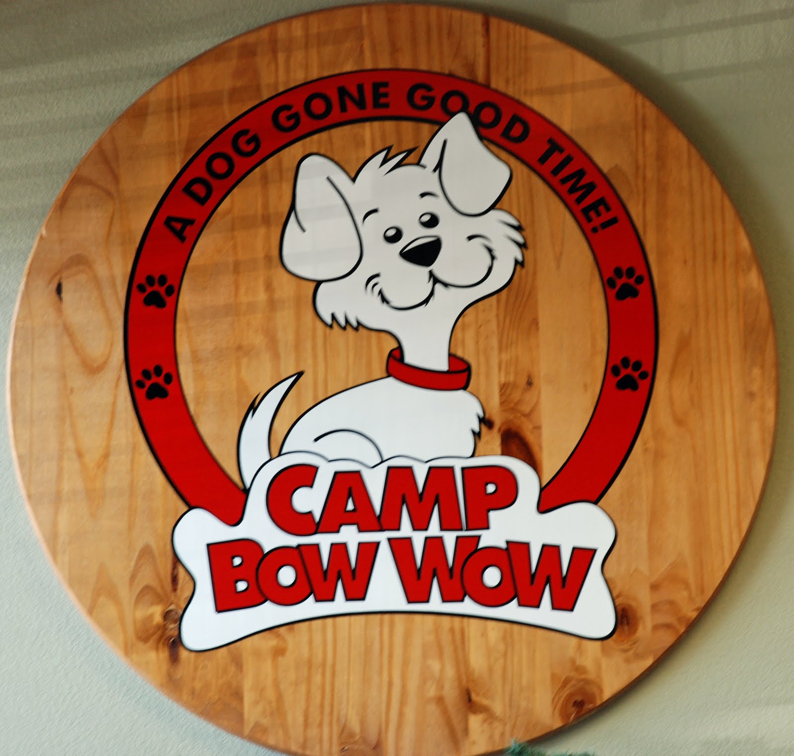 random ramblings: Camp Bow Wow!