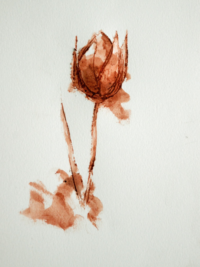 Tulips Sylvia Plath Structure at Starr Bergan blog