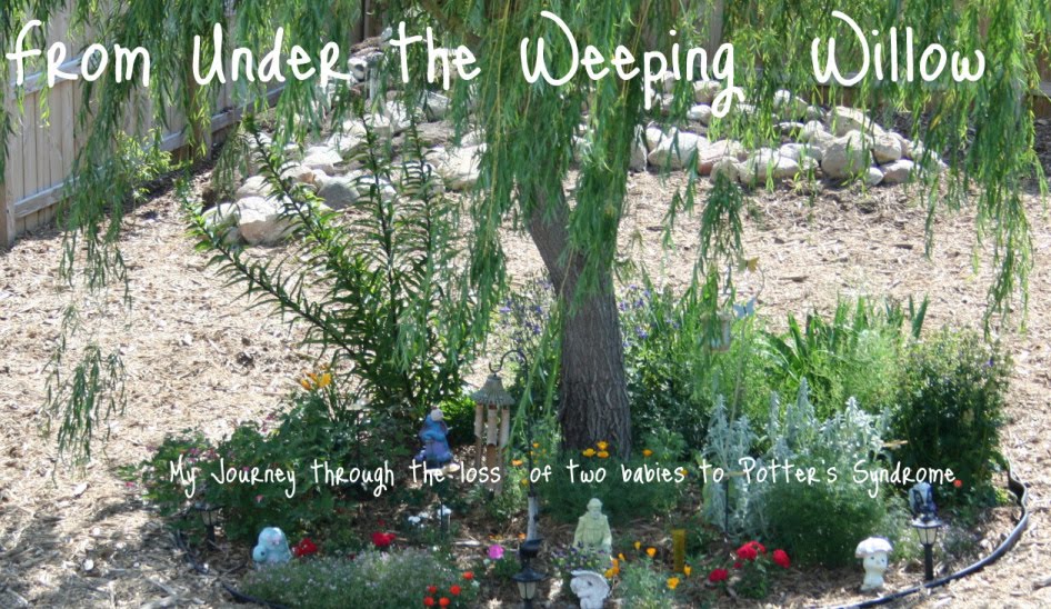 From Under the Weeping Willow