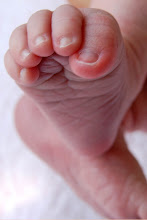 Paparazzi Mom Photography