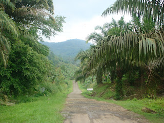 ARK Agrofarm: Kampung Ranggu Tawau