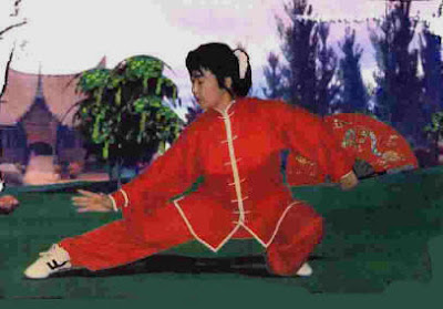 taichi medical forms ,international medical taichi forms,self defense by taichi ,expert forms 2