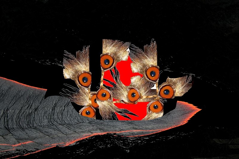 [fenix_renascida.jpg]