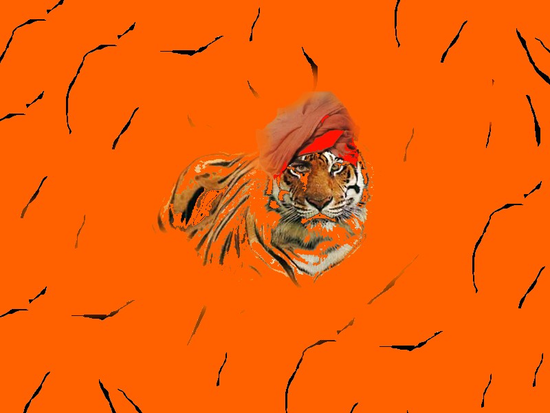 [tigre_malasias.jpg]