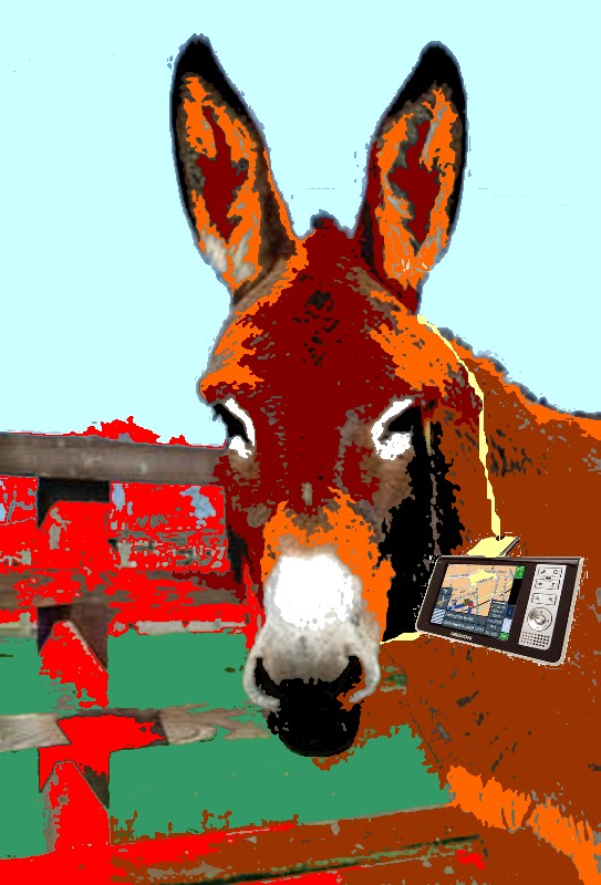 [burro_gps.jpg]