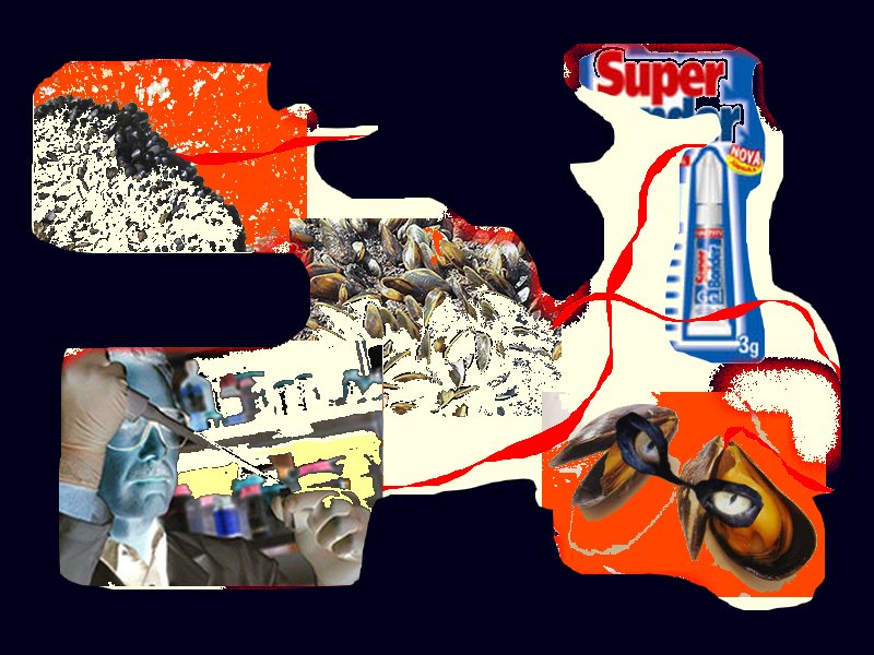 [super_mexilhao.jpg]