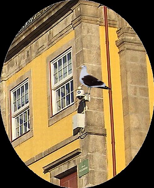 [videovigilancia_reforcada.jpg]