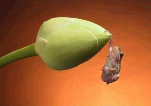 Funny-Pictures-www.ritemail.blogspot.com-007.jpg