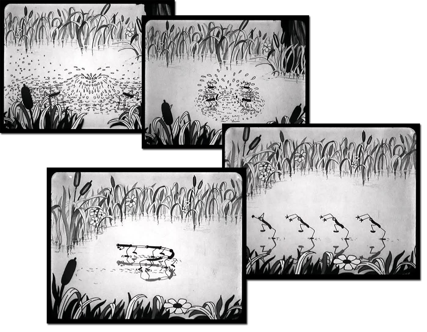 water bugs surface action focuses four then