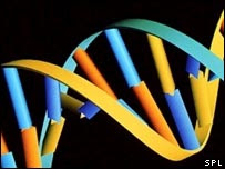 Por que preciso de Herceptin?